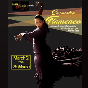 Encuentro FLAMENCO