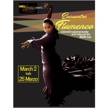 Encuentro Flamenco Video