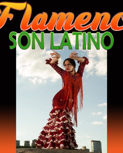 Flamenco al Son Latino On-Line